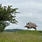 Boshuisje Hébergement de vacances