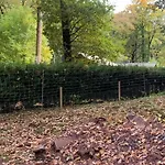 Boshuisje Couvin