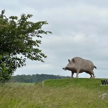 Boshuisje Vakantiehuis