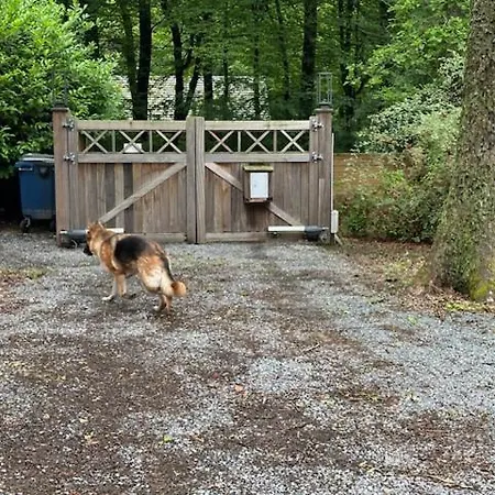 Vakantiehuis Boshuisje *